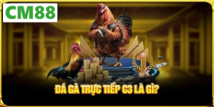 Nguồn gốc và ý nghĩa văn hóa của đá gà tre